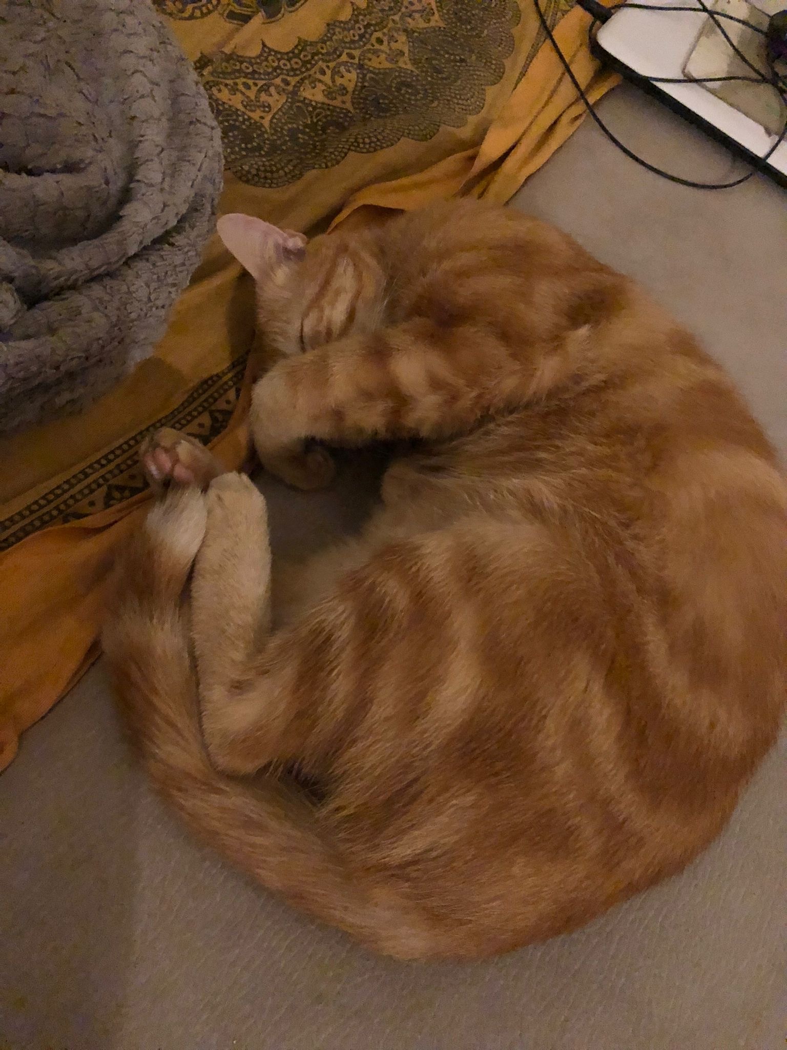 Profil de Mohamed-anas, 20 ans, Escorte à Savelborn (Waldbillig)