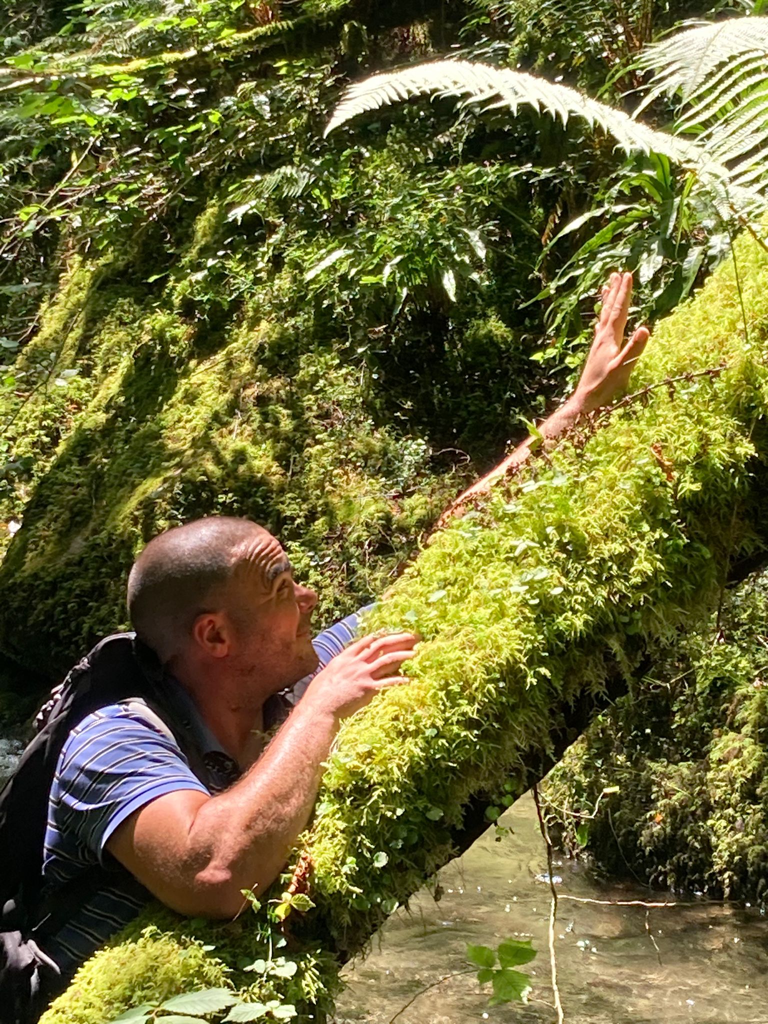 Profil de Mattys, 41 ans, Escorte à Binsfeld