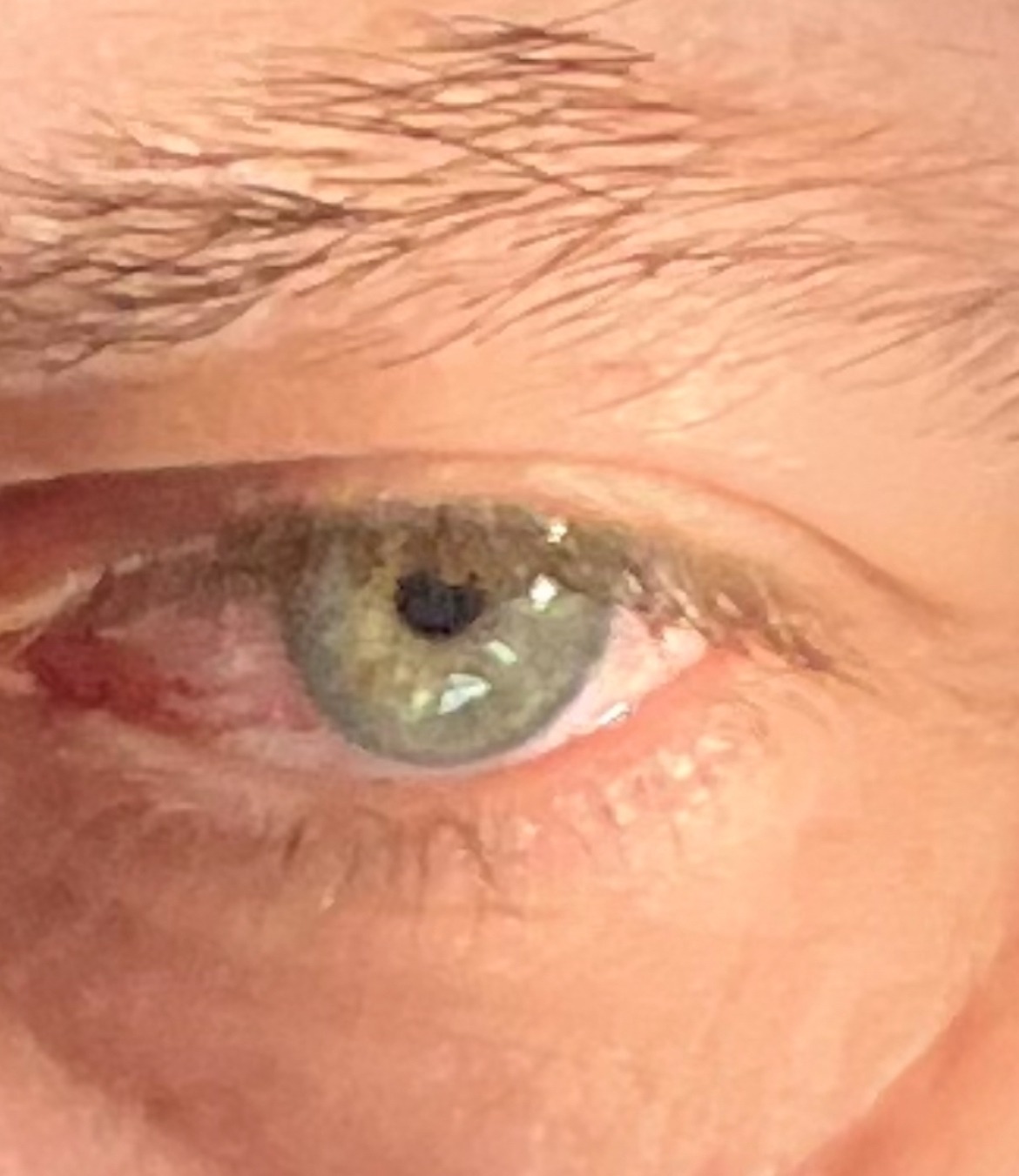 Profil de Ianis, 49 ans, Escorte à Weicherdange